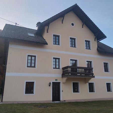 Ferienwohnungen Viktoria Buchegger Grünau im Almtal エクステリア 写真