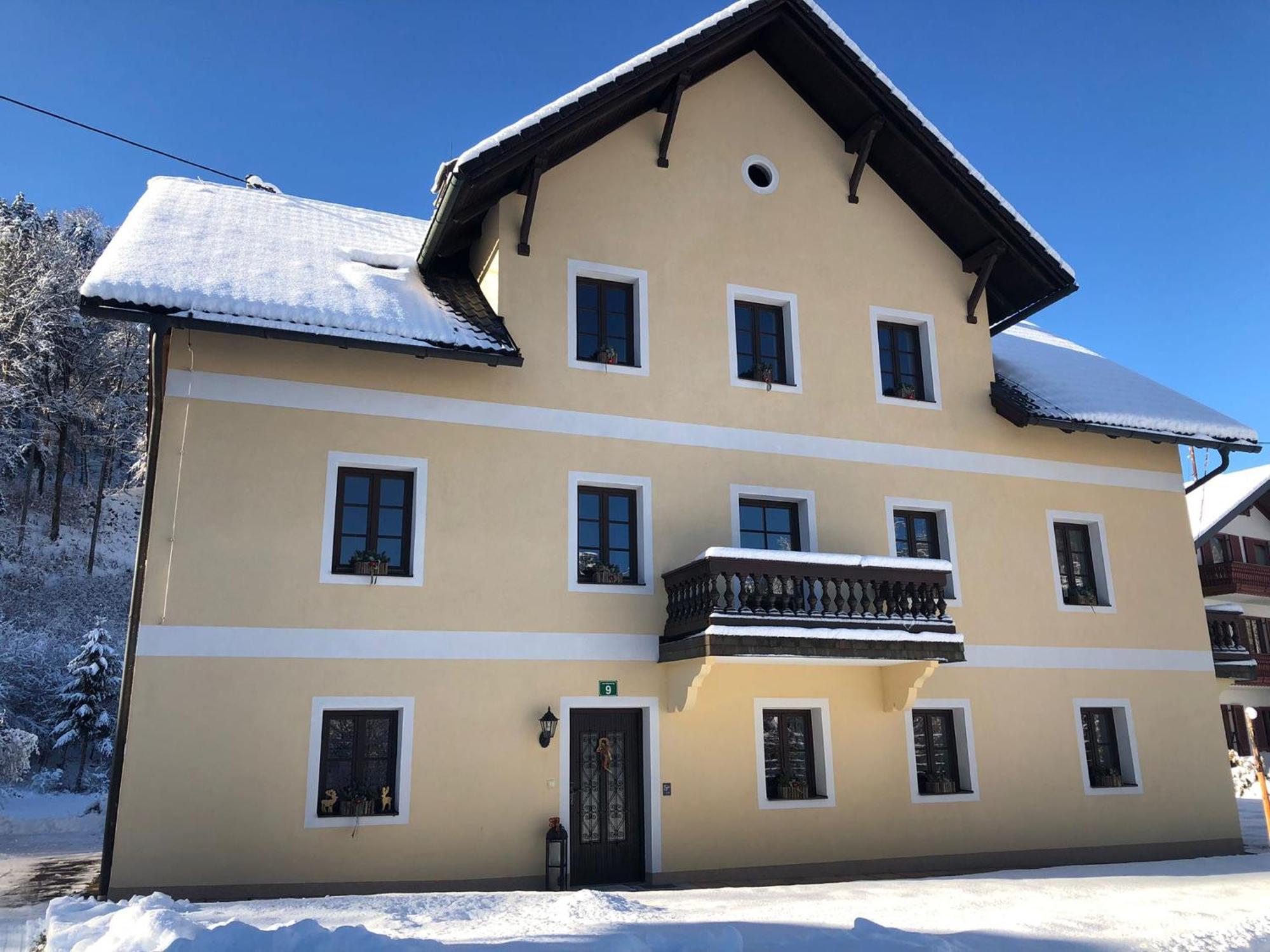 Ferienwohnungen Viktoria Buchegger Grünau im Almtal エクステリア 写真